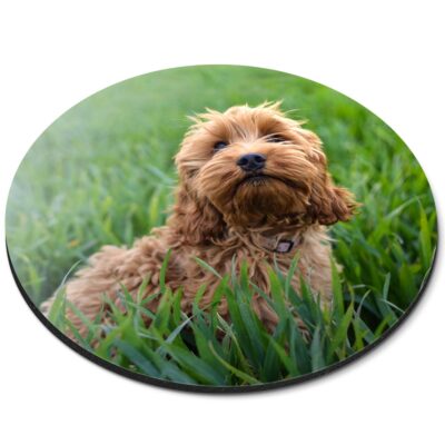 Round Mouse Mat Cockapoo Puppy Dog #50557 | eBay UK