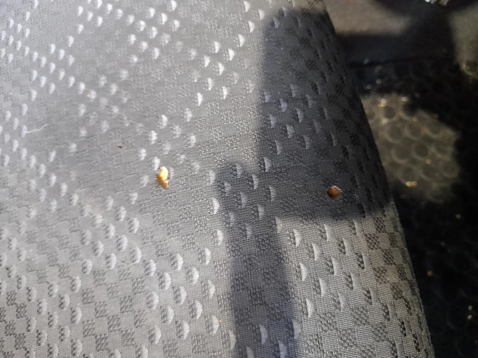 Foton Tunland 2012-2019 Front Seat Lh Front, Cloth, Early Type, 10/12-06/19 - image 4 of 4