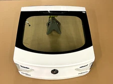 ⭐2018-2020 BUICK REGAL SPORTBACK TRUNK LIFTGATE BODY PANEL COVER OEM LOT2591