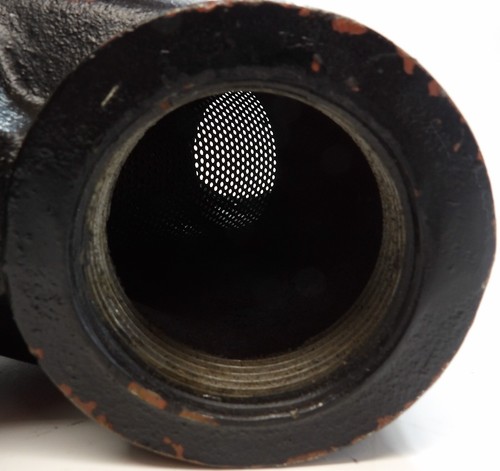 FNW250 FIGURE 559 2-1/2 IN. WYE CAST IRON NPT 20 MESH VALVE STRAINER - Picture 7 of 14