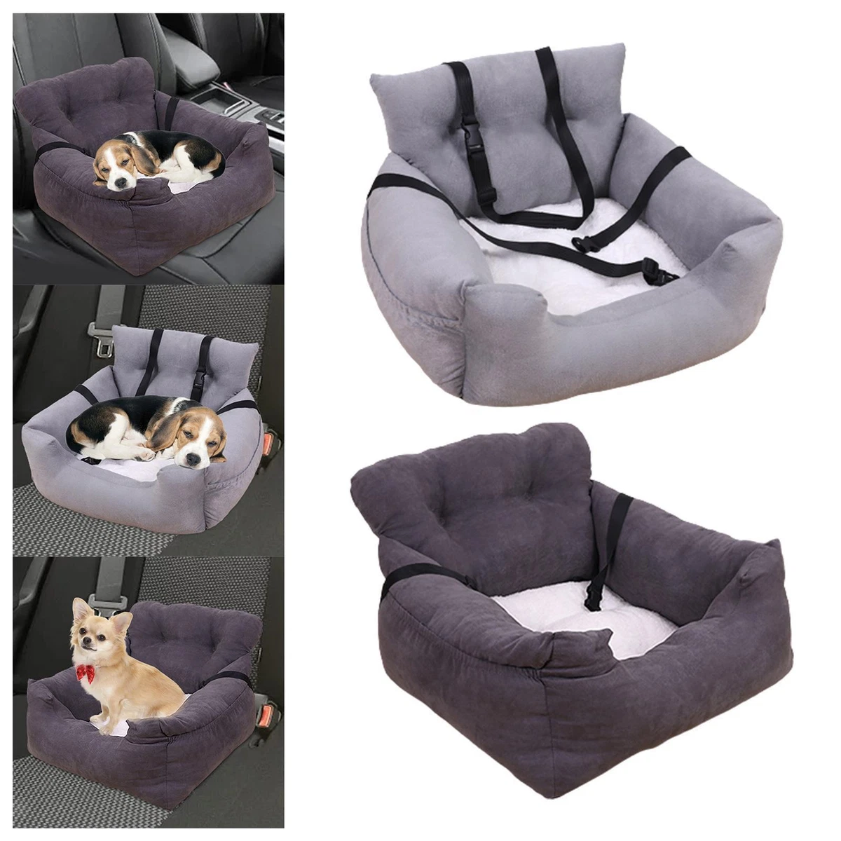 Dog chair car top
