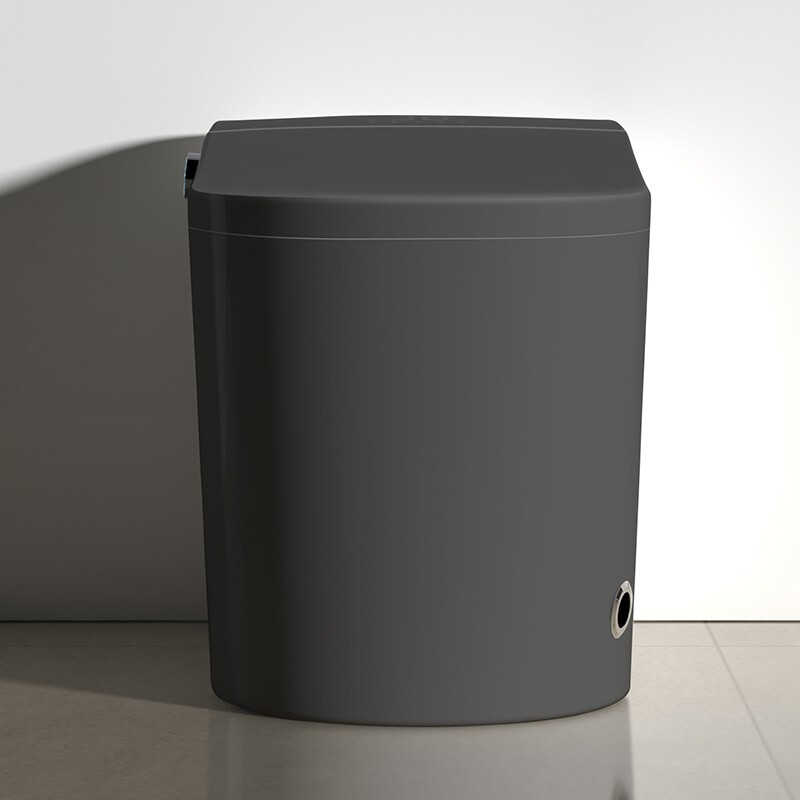 Black Luxury Japanese Smart Bidet Toilet with LED Light, Auto Flush and More