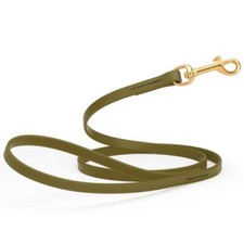 Dog Pet Leash with Brass Hardware W 1/2  L 6 FT Olive Drab Green