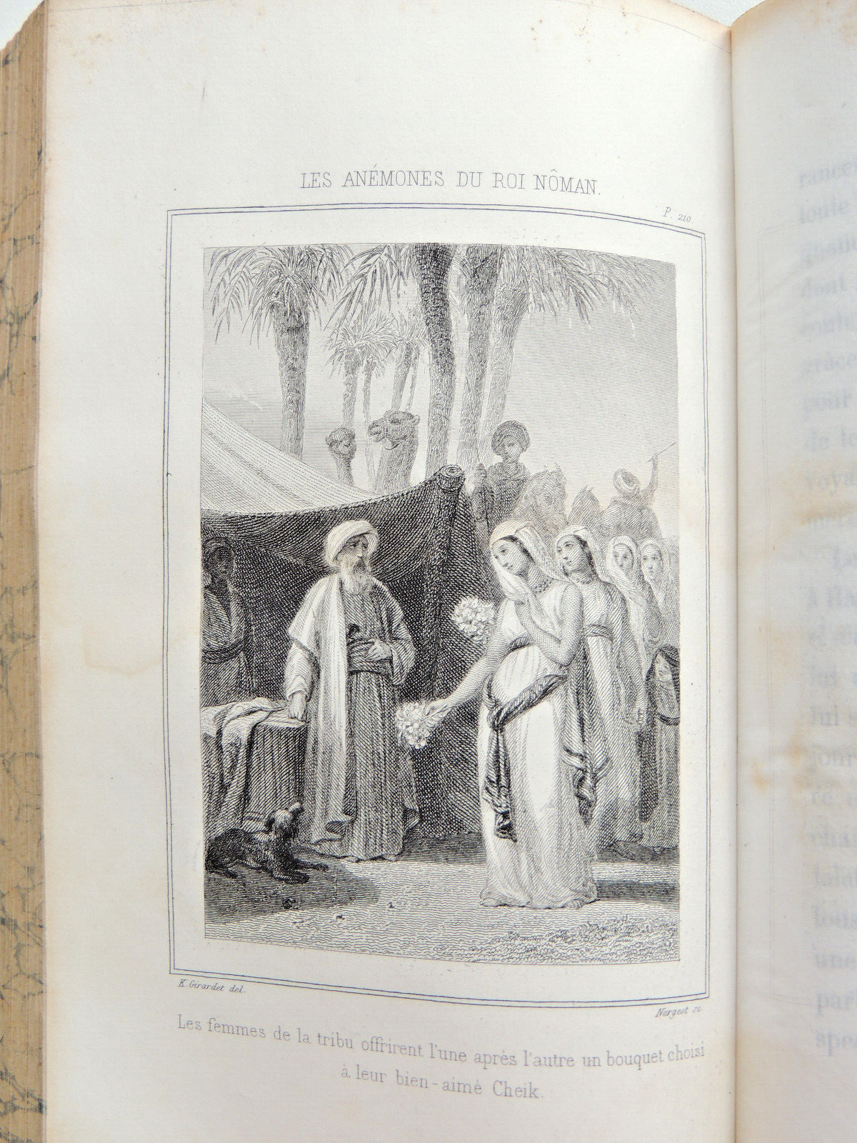 Picture 6 of 20