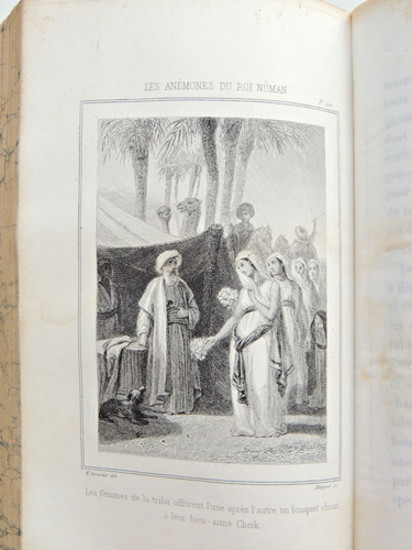 Lot de livres anciens illustré. Robinson Crusosoé, La Fontaine, Grandville.. - Picture 6 of 20