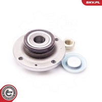 Esen SKV Radlagersatz 29SKV093 FüR CitroËN Peugeot