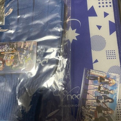 SHIPS FROM USA Sega CHUNITHM SUN Project Sekai Leo/need Glove Multi-Case 2-set