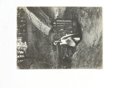 Mädchen geflochtener Korb Holztor ländlicher Weg um 1910 Vintage Foto