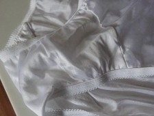 Vanity Fair Seamless Regular Size Panties for Women