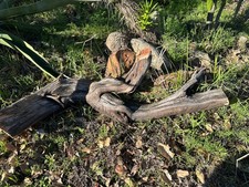 Natural Manzanita Driftwood Aquarium Scapes Reptiles Mounts Crafts Perches 10pcs