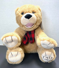 New FAO Schwarz Bears That Care Tan Brown Teddy Bear Plush 2019 Stuffed Animal