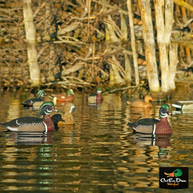 AVERY OUTDOORS GHG HUNTER SERIES LIFE-SIZE WOOD DUCK DECOYS - 1/2 DOZEN - Image 2 of 4