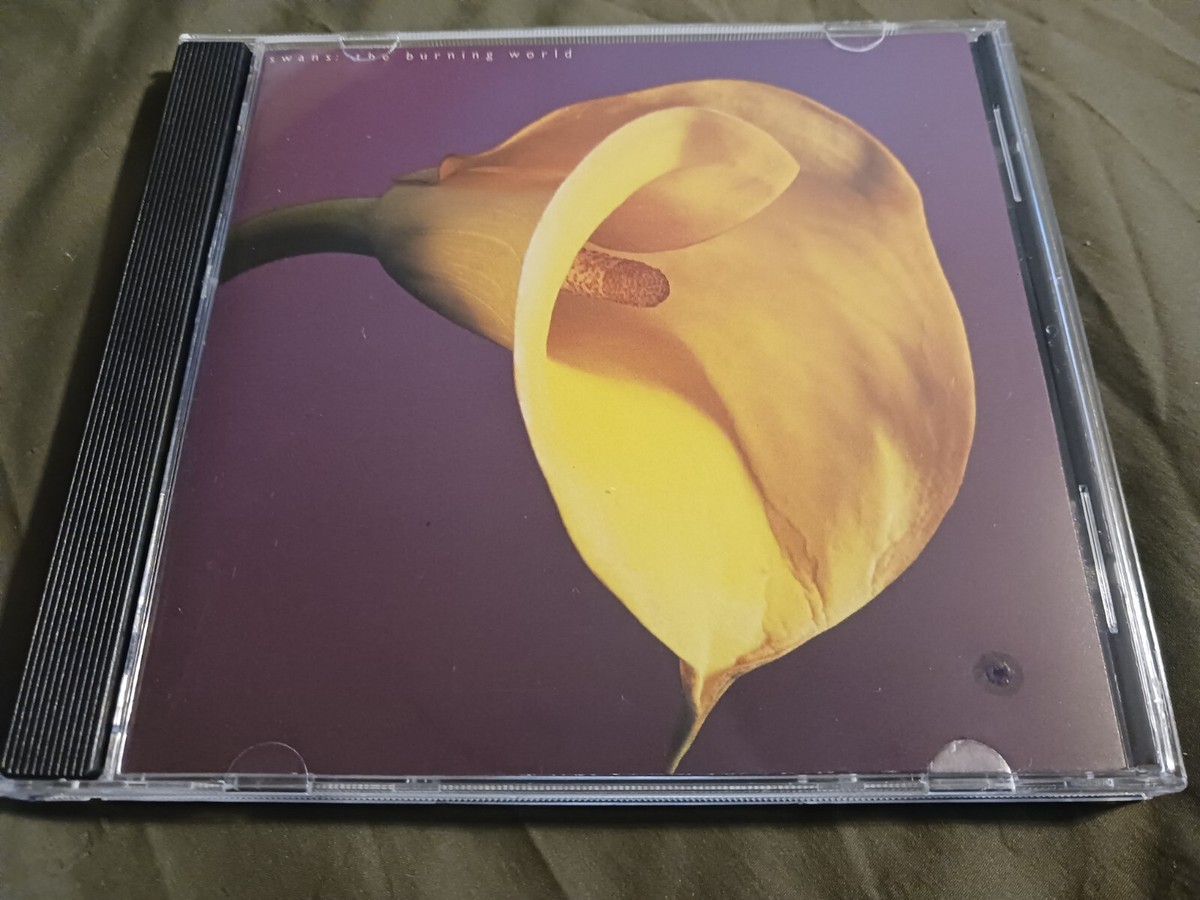 The Burning World by Swans (CD, May-1989, UNI Record) 39405060128