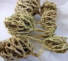 Flower Of Maryam Chaste Tree Herbs Palm Of Mary 100%