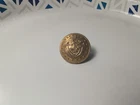 Undug Civil War era Vermont button