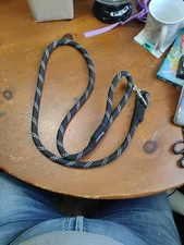 ZippyPaws climbers dog heavy duty Dog Leash 2/3 inch thick-Teal 6 ft Great Condt