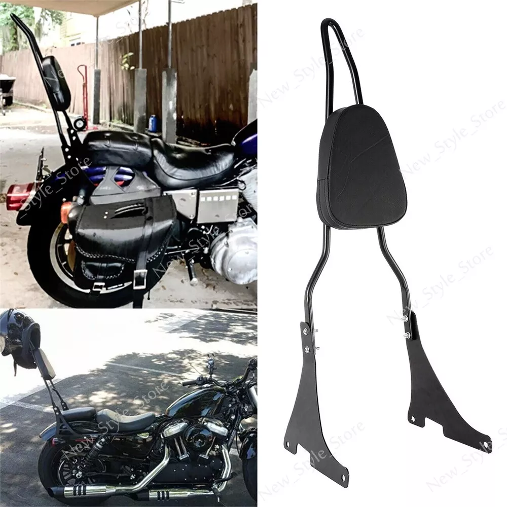 Suzuki intruder on sale sissy bar