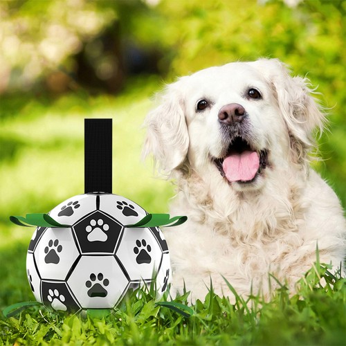 DADYPET Dog Soccer Ball with Grab Tabs Interactive Dog with Ball Pump I2A0 - Picture 2 of 12