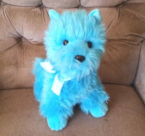 blue furry dog