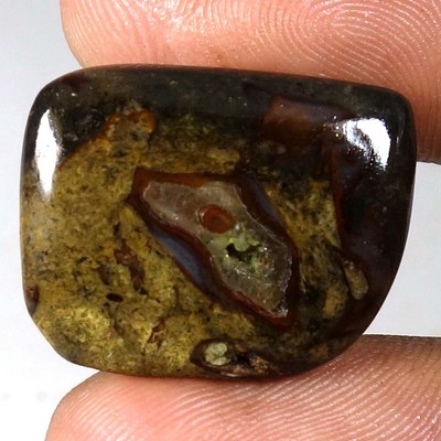 13.70Ct 100% Natural Fossil Colus Agate Fancy Cab Rare Loose Gemstone 23x18x04mm