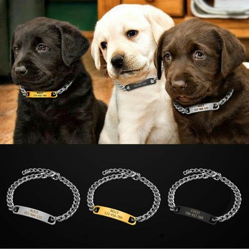 Small Dog Choke Chain Collars 