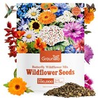 Wildflower Seeds Bulk 4oz – 100,000+ Mix 26 Varieties for Bees,Butterflies,Birds