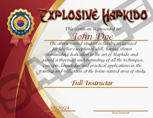 Home Study Course - Explosive Hapkido Mastery (DVDs + Certificates) - Picture 2 of 11