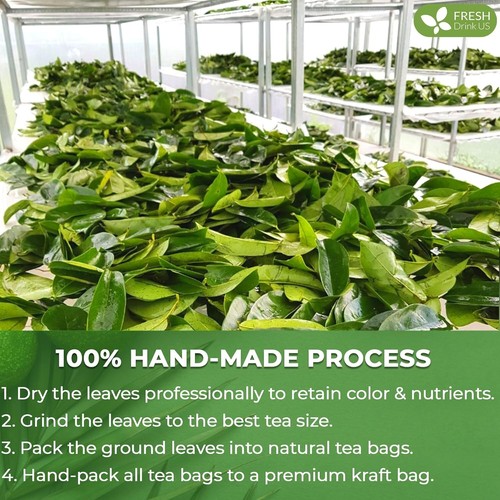 KEYXE Premium Soursop Graviola Leaf Tea | 75 Bags | 75g | 100% Natural | BB 9/26 - Picture 10 of 18