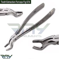 Dental Tooth Extraction Forceps Fig 67A Upper Wisdom Teeth Extracting Pliers