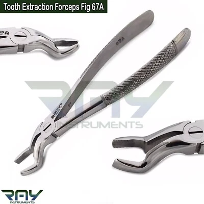 MEDSPO Dental Tooth Extraction Forceps Fig 67A Upper Wisdom Teeth Extracting Pliers
