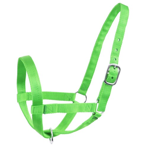 Robustes verstellbares Nylon Rinderhalfter groß 800 bis 1400 Pfund limettengrün - Bild 2 von 5