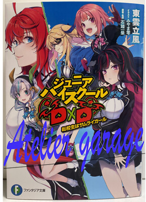 New Junior High School DxD Vol.1-2 2 Set Japanese Novel New Junior High School DxD Vol.1-2 2 Set Japanese Novel