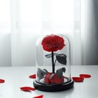 Eternal Real Rose in Glass Dome Preserved Flower Valentines Day Gift Wedding Dec