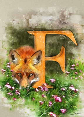 F Fox PREMIUM POSTER FILM PRINT HIGH QUALITY Thick paper