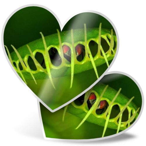 2 x Heart Stickers 15 cm - Venus Flytrap Plant Nature Garden #24372 - Picture 1 of 8