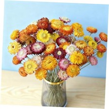 20Pcs Natural Dried Daisy Flowers Bouquet - Multicolor Daisy Dried Sunflowers