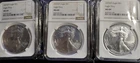 American Silver Eagles 2025 MS 69 W/Eagle Privy (3)