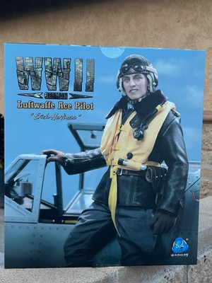#ad DID WWII German Ace Pilot Erich Hartmann D80190 1 6 ACT FIGURE TOYS $229.98
