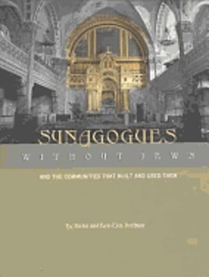Synagogues Without Jews: And the Communities That Built and Used Them by Dorfman