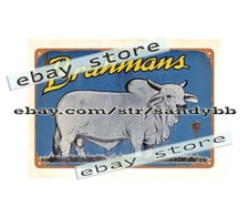 Brahmans livestock cattle cow ranch farm barn metal tin sign home garden decorat