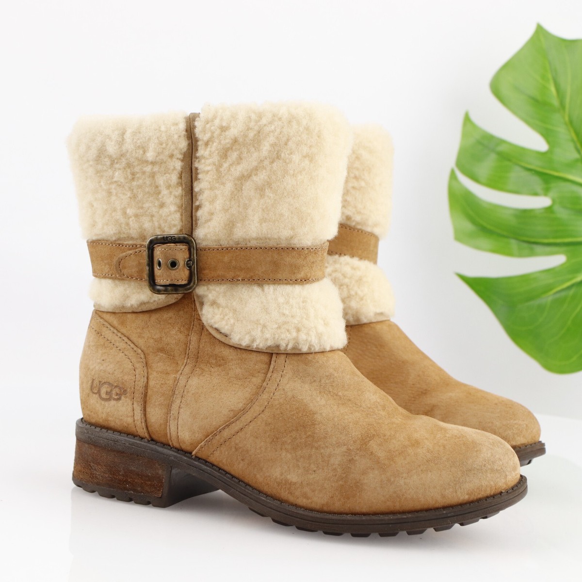 Ugg Womens Blayre Boot Size Chestnut Suede Block Moto Sherpa