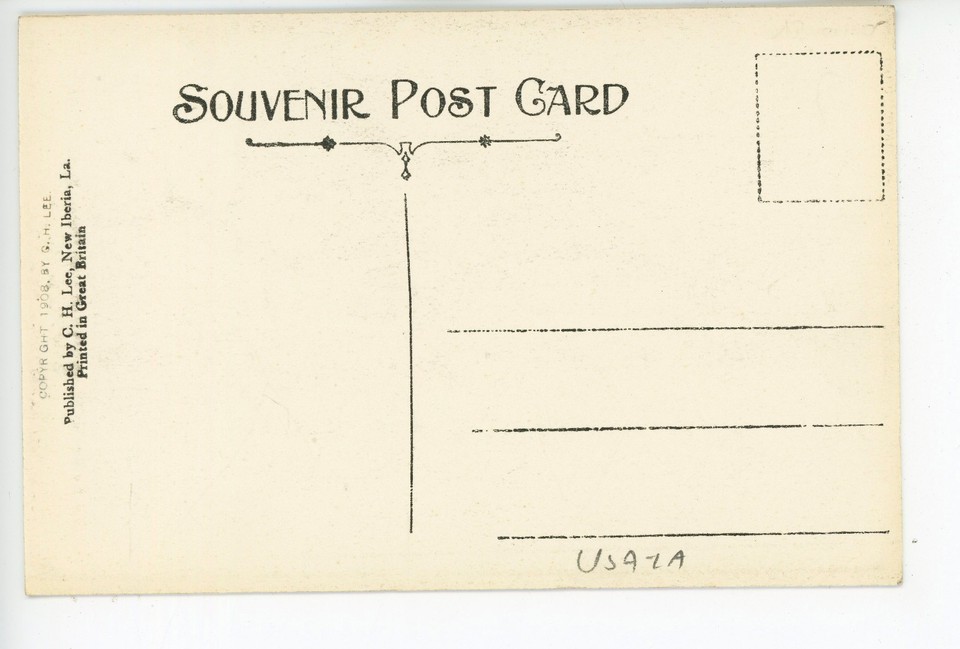 Main Street NEW IBERIA LA Spanish Moss Live Oaks Dirt Road—Antique