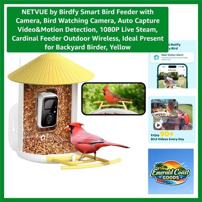 1080P Wireless Bird Feeder with Motion Detection - Perfect for Backyard Birders