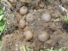 Bild 3 von 12