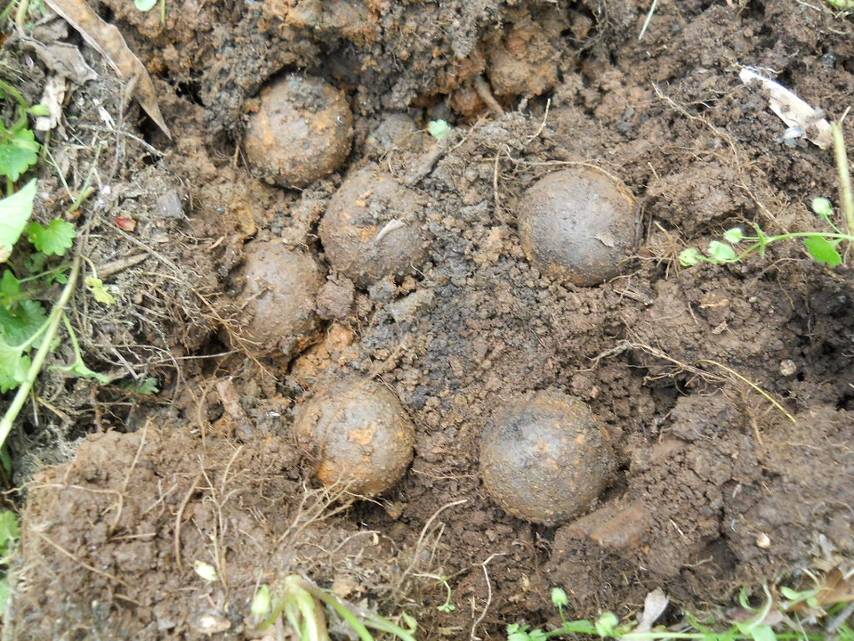 Antiguo Raro De Colección Antigua Reliquia de la Guerra Civil Bote Confederado Tiro Appomattox VA Foto 3 de 4