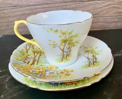 Shelley シェリー daffodil time ダフォディルタイム カップ＆ソーサー