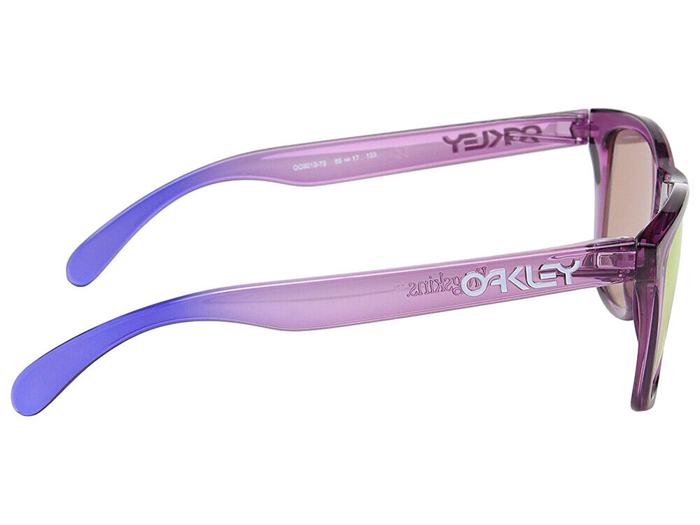 Oakley Frogskins Alpine Collection Sunglasses OO9013-73 Oakley Frogskins Alpine Collection Sunglasses OO9013-73
