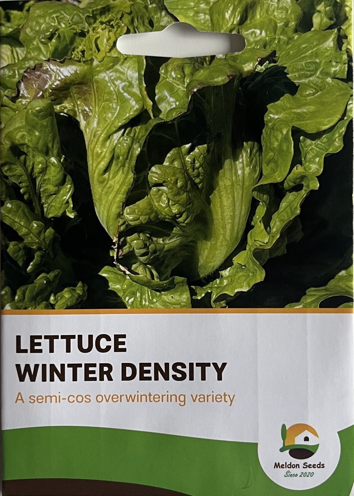 Winter Lettuce Seeds Winter Density 400 Fresh Vegetable Seeds Over Winter Hardy eBay