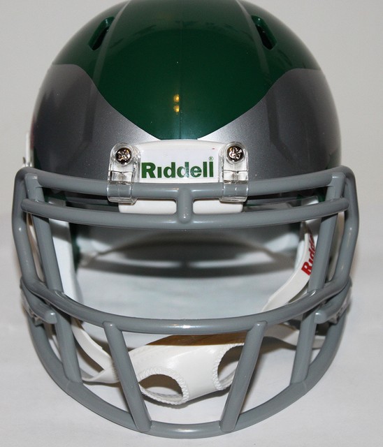 2010 Philadelphia Eagles Riddell Custom Mini Helmet Rare eBay
