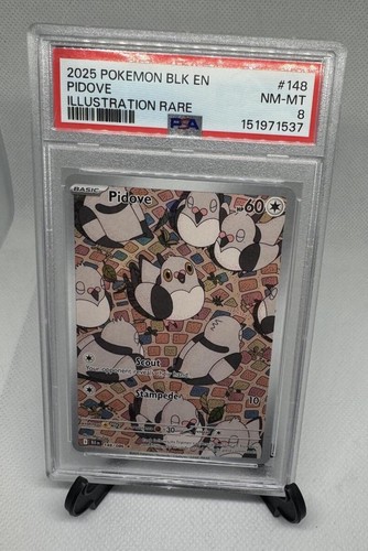 2025 Pokemon Black & White Pidove Illustration Rare Card PSA 8 NM-MT
